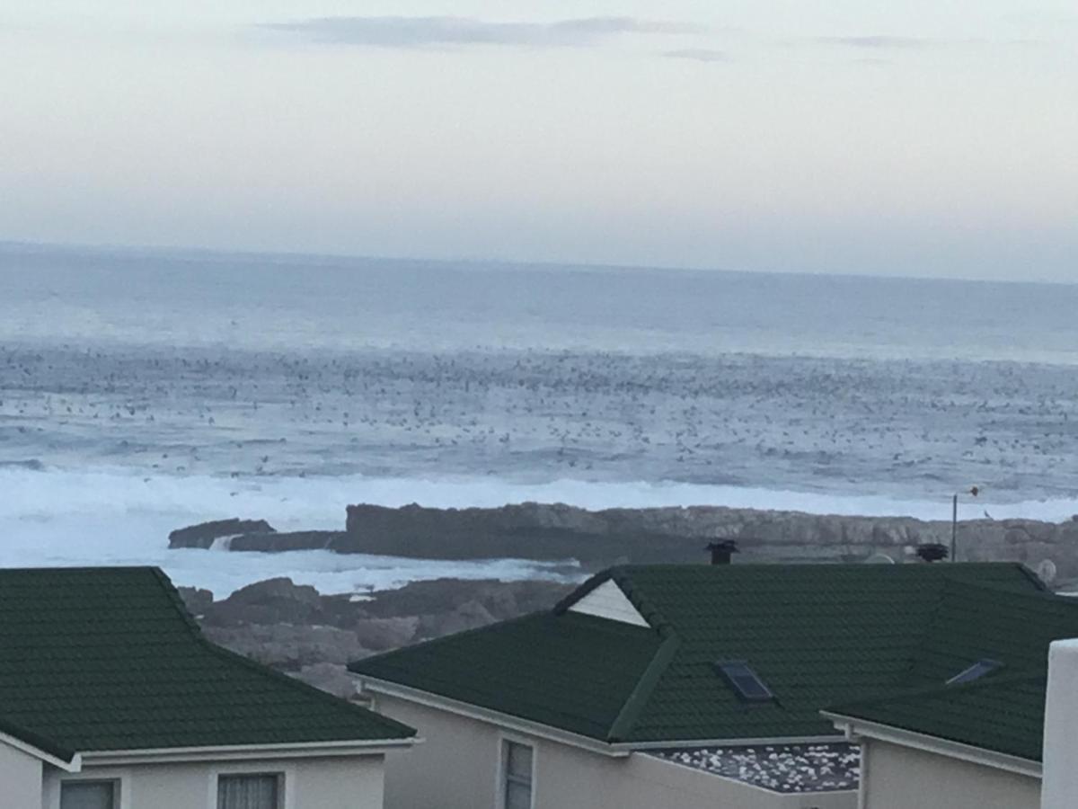 43 Whale Rock Estate Διαμέρισμα Hermanus Εξωτερικό φωτογραφία